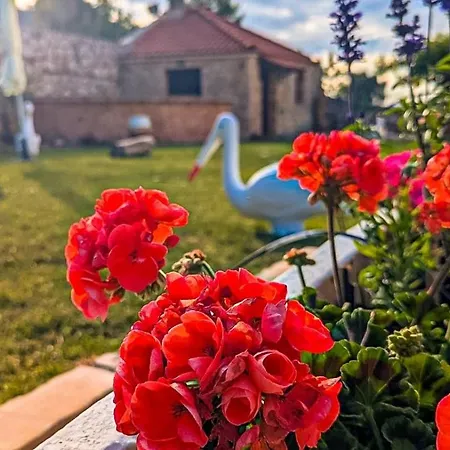 Rodothea Villa